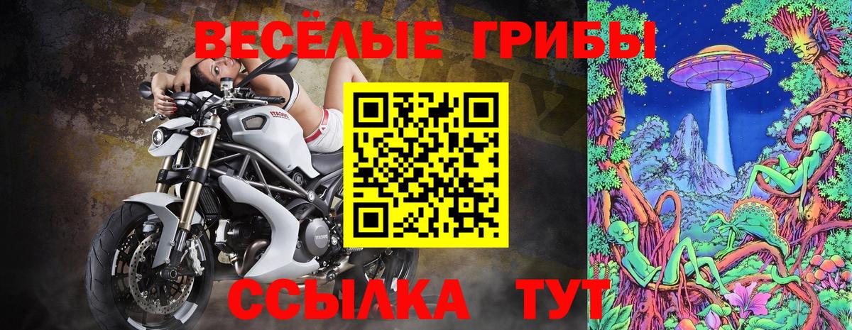 Галлюциногенные грибы прущие грибы Светлоград