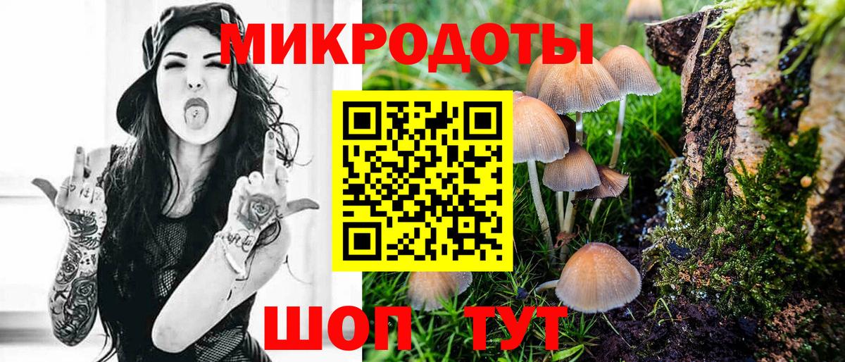 Светлоград  Галлюциногенные грибы ЛСД  Вход с VPN  Псилоцибиновые грибы Psilocybe 
